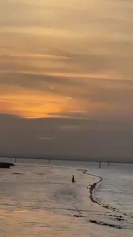 The video shows a wide body of water under a golden, cloudy sky, likely at sunset.  A person is walking on a small, winding strip of land that extends into the water.  There are wooden posts sporadically placed in the water. In the distance, a dark, low-lying coastline is visible. A bird flies across the sky.
