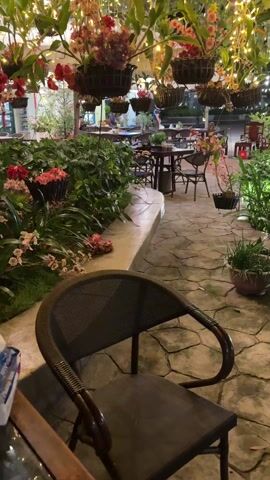 The camera pans through a decorative outdoor space, presumably a restaurant or patio. Tables and chairs are visible in the background. Numerous hanging flower baskets are suspended above, adorned with string lights, creating a warm, illuminated atmosphere. A brown rattan chair sits in the foreground, and lush greenery surrounds the paved patio area. There are several unidentified people in the distance.
