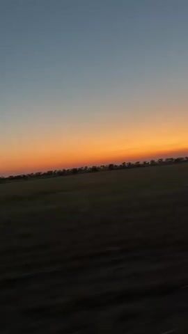 This is a vertical, low-angle video captured from a moving vehicle, likely during sunset. The sky exhibits a gradient of colors, transitioning from a pale blue at the top to a vibrant orange and red band just above the horizon. A line of silhouetted trees stretches across the middle ground, marking the edge of a dark, grassy field that dominates the lower portion of the frame. The motion blur suggests the camera is in transit, with the landscape appearing to slide past. There are no visible people or distinct objects within the scene.
