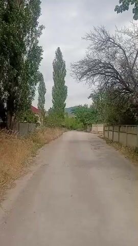 A first-person perspective video shows a dirt road leading into a village. Tall trees line the road, with a fence on either side. The sky is overcast, and the weather appears to be cool. The road is empty, and there is no sign of human activity. The video is 5 seconds long.