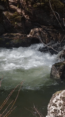 Morning river and forest scenes documented in Devin, Bulgaria