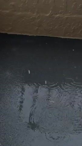 The video shows a flat, dark-colored surface, likely pavement, covered in rain. Droplets of water are hitting the surface, creating concentric ripples. The surface is partly reflective and appears wet.  Along the top edge of the frame, there is a textured, tan-colored wall. The camera angle is angled downward.