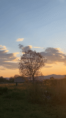 Evening moments captured in rural Bulgarian village