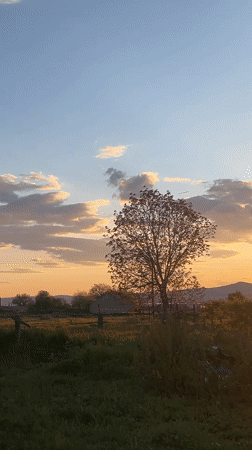 Evening moments captured in rural Bulgarian village