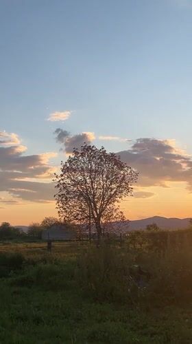 Evening moments captured in rural Bulgarian village