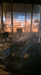 Temple ceremonies with incense and oil lamps observed in Matara
