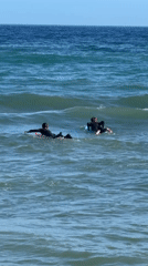 Surfers and bodyboarders catch waves off Estepona's coast