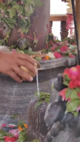 A close-up shot shows a hand pouring liquid from a small brass pot onto a stone structure adorned with leaves and flowers. The stone structure appears to be a Shiva Lingam, a religious icon in Hinduism. The liquid, likely milk or water, streams down the Lingam, surrounded by colorful petals and green foliage. The background is blurred, suggesting an outdoor setting, possibly a temple or shrine. The hand is bare, with visible skin texture and a reddish hue. The lighting is natural, indicating daylight. The scene conveys a sense of ritualistic offering or worship.