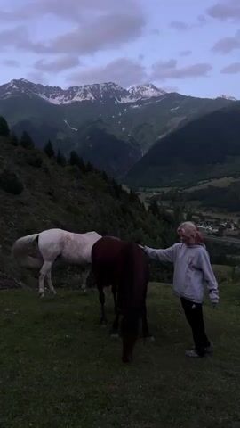 A person with blonde hair stands next to two horses in a grassy field. One horse is white and the other is dark brown. The person is wearing a gray hoodie and dark pants. They are touching the head of the dark brown horse. In the background, there are steep, tree-covered mountains with snow-capped peaks. The sky is a dusky purple with some clouds. The overall scene suggests a rural, mountainous environment, possibly at dusk or dawn.