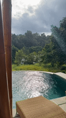 Bamboo structure with pool and interior captured in Selemadeg