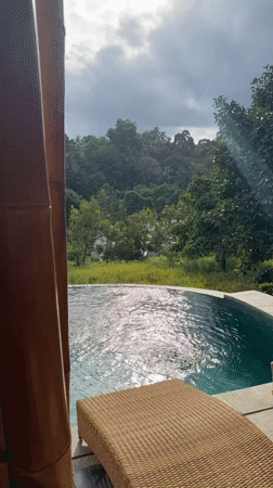 Bamboo structure with pool and interior captured in Selemadeg