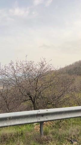 The video shows a scenic view from a car traveling on a mountain road. A metal guardrail is visible in the foreground. Beyond the guardrail, there is a hilly landscape with sparse vegetation and bare trees. Distant mountains and a cloudy sky can be seen in the background. Power lines run across the sky. The camera appears to be moving, suggesting the car is in motion.