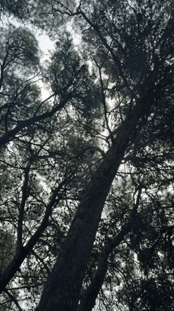 Sunday morning coastal scenes captured in Bar, Montenegro