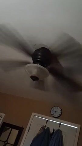 The video shows a ceiling fan with dark-colored blades and a light fixture spinning. The fan is attached to a white ceiling. Below the fan, the wall is a tan color, with a white door and a clock hanging above it. A coat is hanging from a hook on the door.  To the left of the door, a dark, square object, possibly a mirror or picture frame, is visible. The time on the clock appears to be 7:28. The video is taken from a low angle, looking upwards.