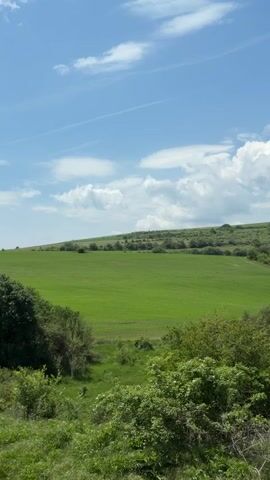 The video shows a wide shot of a green field stretching to the horizon under a partly cloudy blue sky. The field is bordered by lush green trees and shrubs, with a small grassy area visible in the foreground. The sky features both wispy and puffy white clouds, and the overall scene is peaceful and serene.