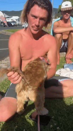 Beach group relaxes with dog in Bulli, Australia