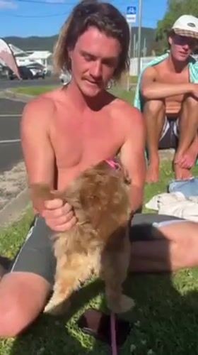 Beach group relaxes with dog in Bulli, Australia