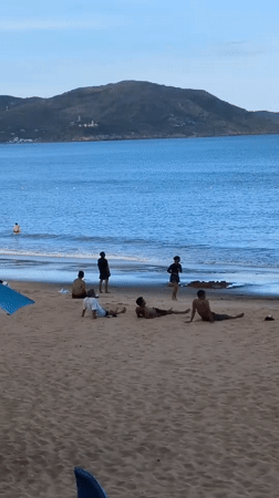 Sunny morning at Quy Nhon's beach, umbrellas out and people in the water