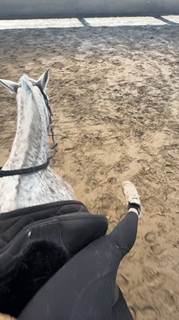 Horse riding session documented at indoor arena in Belgium