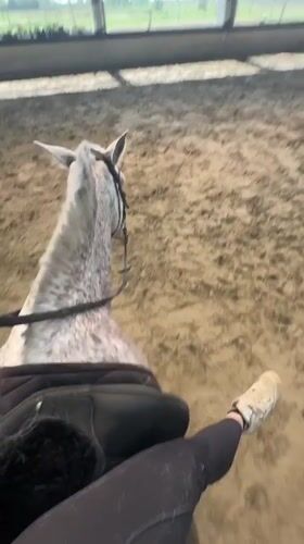 Horse riding session documented at indoor arena in Belgium