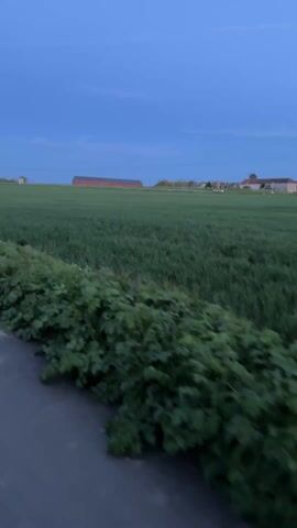 The video shows a path running through a green field under a twilight sky. The path is asphalt or similar material and has vegetation growing on either side. In the distance, there are hints of buildings and trees. There is a sound of someone speaking. The camera moves forward, giving the impression of someone walking or biking down the path. The sky is a deep blue with a few faint clouds.
