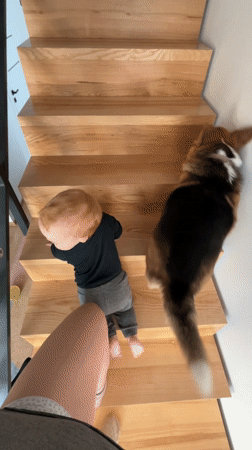 Quiet domestic moments captured in neighboring German towns