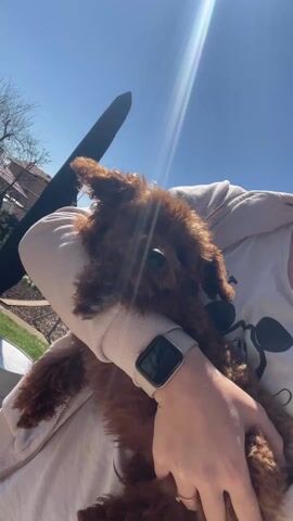 A person with a light skin tone is holding a small brown poodle in their arms. The person is wearing a white t-shirt with a black Mickey Mouse design and a light pink hoodie. They also have a white smartwatch on their left wrist and a ring on their left hand. The background shows a clear blue sky with the sun shining brightly. There is also a black object in the upper left corner of the frame, possibly a part of a vehicle or some kind of antenna. The environment appears to be outdoors, with glimpses of greenery and buildings visible. The dog is looking around inquisitively, held close to the person's chest.