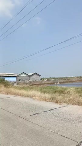 A low-angle shot looks across a dry, grassy roadside toward a large body of water, likely a salt flat or pond, under a clear blue sky. In the distance, several large, simple buildings with corrugated metal roofs are visible. The water is divided by narrow dirt paths and a network of channels. Some sections of the salt flat are covered with white material, possibly salt crystals. Power lines stretch across the top of the frame. The scene is likely an agricultural or industrial landscape.