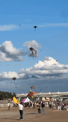 Colorful kite festival fills the Saint Petersburg sky