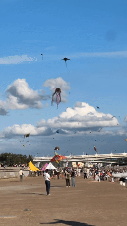 Colorful kite festival fills the Saint Petersburg sky