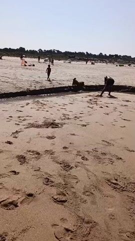 The video shows a sandy beach on a sunny day. In the foreground, the sand is marked with footprints. In the middle ground, a person is walking with a dog on a leash. Behind them, a child runs across the sand. In the background, other beachgoers are visible, and the ocean meets the horizon under a clear sky.