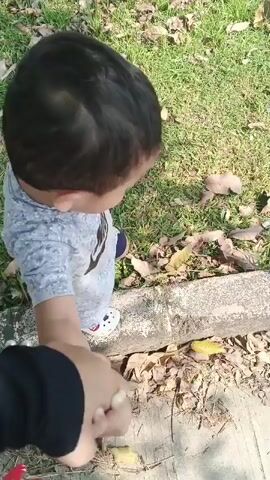 A short, high-angle video shows a young child, seen from behind, in a gray t-shirt with a black graphic on the left side of the chest and white shoes with colorful designs, looking down towards the ground. The child is on a paved surface next to a raised concrete curb. Behind the curb is a grassy area with fallen leaves. An adult’s hand, wearing a black sleeve, is visible at the bottom left of the frame, holding the child’s hand and offering what appears to be a piece of fruit, possibly a banana. The child is reaching towards the fruit. The scene is outdoors in daylight.