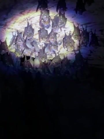 A group of bats hangs upside down from the ceiling of a cave. They are illuminated by a light, creating a rainbow-like effect on the rock behind them. The rest of the cave is dark. An inaudible conversation can be heard in the background.