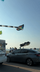 Kites fly over busy coastal boulevard in Coatzacoalcos