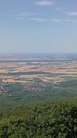 A drone's-eye view of a landscape on a clear day. In the foreground, a dense green forest covers the bottom portion of the frame. The middle ground reveals a town with red-tiled roofs nestled within a clearing, surrounded by more greenery. Beyond the town, the landscape transitions to agricultural fields of varying colors, suggesting different crops or stages of growth. The background shows a vast, flat expanse of land stretching to the horizon, with the sky above being a clear, light blue. There are no people or animals visible in the video.