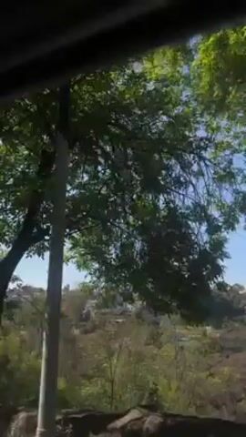 A car travels on a paved road on a sunny day. Trees, utility poles, wires, and fences line the road. In the distance, buildings are visible. The video is filmed from inside the car.