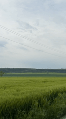 Rural agricultural landscape documented near Goran, Bulgaria