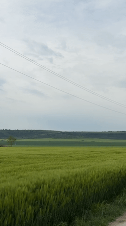 Rural agricultural landscape documented near Goran, Bulgaria