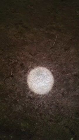 The video shows a flashlight beam on the floor of a rustic building. The camera pans up to show the inside of the building, including the walls, some loose hay, and hay bales. The camera then pans up to the roof, which is made of wood.