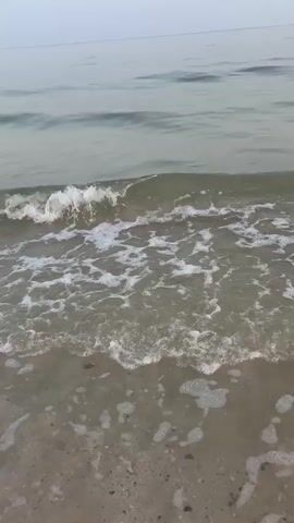 The video shows a close-up view of gentle waves rolling onto a sandy beach. The water is a muted, greenish-gray color and has a foamy, white crest as it breaks. The sand appears light in color with some small dark particles. The horizon is visible in the distance, with a pale sky overhead, suggesting either early morning or late evening. There are no people or man-made objects visible in the frame.