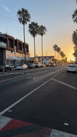 Palm-lined LA street at golden hour with a painted crosswalk