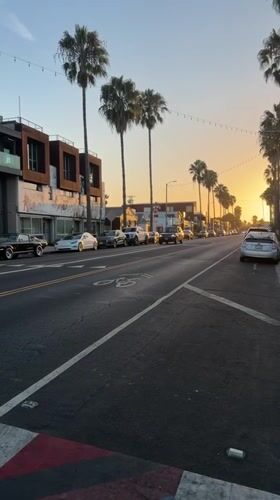Palm-lined LA street at golden hour with a painted crosswalk