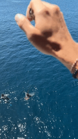 Person throws money into ocean near Ketapang, Indonesia