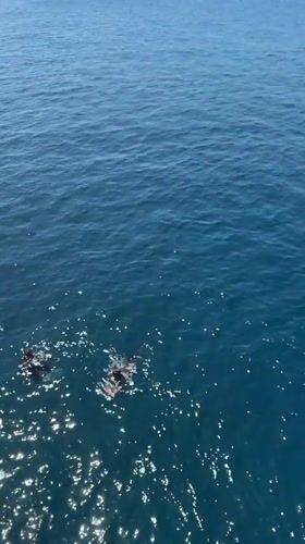 Person throws money into ocean near Ketapang, Indonesia