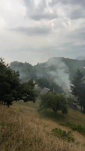 The video shows a rural landscape under a cloudy sky. In the foreground, dry grass and foliage are visible on a slope. In the middle ground, there are several houses nestled among trees. Smoke is rising from various points in the wooded area, suggesting fires are burning. The smoke drifts and disperses into the atmosphere, partially obscuring the distant hills. Some vehicles are visible near the houses, suggesting human presence. The overall impression is of a calm, hazy, and somewhat rustic environment.