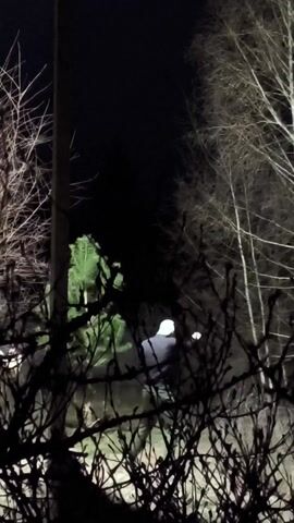 At night, the silhouette of people walking toward a lit-up evergreen tree are visible through the bare branches of shrubs and trees. A utility pole stands at the left edge of the frame. The person closest to the camera is wearing a white hat.