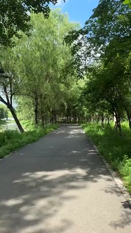 The video opens with a POV shot of a paved path winding through a park. Lush green trees with dense foliage line both sides of the path, casting dappled shadows on the ground. The path curves gently to the right, disappearing into the distance. In the second clip, the camera pans to show a dense thicket of green bushes and trees, suggesting a more wild area adjacent to the path. The third clip shifts to a selfie-style shot, featuring a young woman with blonde hair, wearing large red-framed sunglasses and a white blouse. She is seen from the chest up, with a person's shoulder visible on the left. The background shows a continuation of the park path and trees under a bright, sunny sky. The fourth clip is a continuation of the selfie, with the woman tilting her head and smiling. The final clip shows the woman playfully raising a section of her ponytail above her head, still wearing the red sunglasses and white blouse, with the park environment behind her. The video captures a leisurely walk or outing in a park setting, with a focus on nature and the woman's playful demeanor.