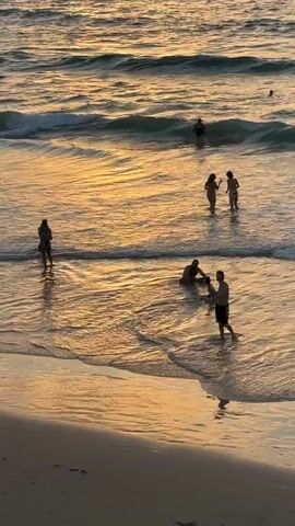 The video shows a beach scene with several people in the shallow water. The sun is setting, casting a golden light on the water and the wet sand. In the foreground, a man walks towards the shore, carrying what appears to be a child. Further out, a group of three people stand in the water, two women and a man. To their left, a person is bent over in the water. In the distance, several other individuals are visible in the ocean, some appearing to be swimming or wading. The waves are gentle, and the overall atmosphere is peaceful.