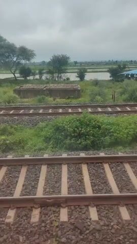 The video shows a view from a train window. In the foreground, there are train tracks with ballast. Beyond the tracks, there is a grassy area with bushes and trees. In the background, there appears to be a body of water, possibly a flooded field or a lake, with more trees and vegetation on the horizon. The sky is overcast. The train is in motion, as indicated by the movement of the scenery.