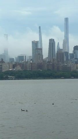 The video shows a view of the New York City skyline across a body of water. The sky is overcast and cloudy, with some of the taller buildings partially obscured by fog. In the foreground, several ducks are swimming in the water. The buildings in the middle ground appear to be residential, while the buildings in the background are a mix of modern skyscrapers and older structures. The overall atmosphere is somewhat muted due to the weather.